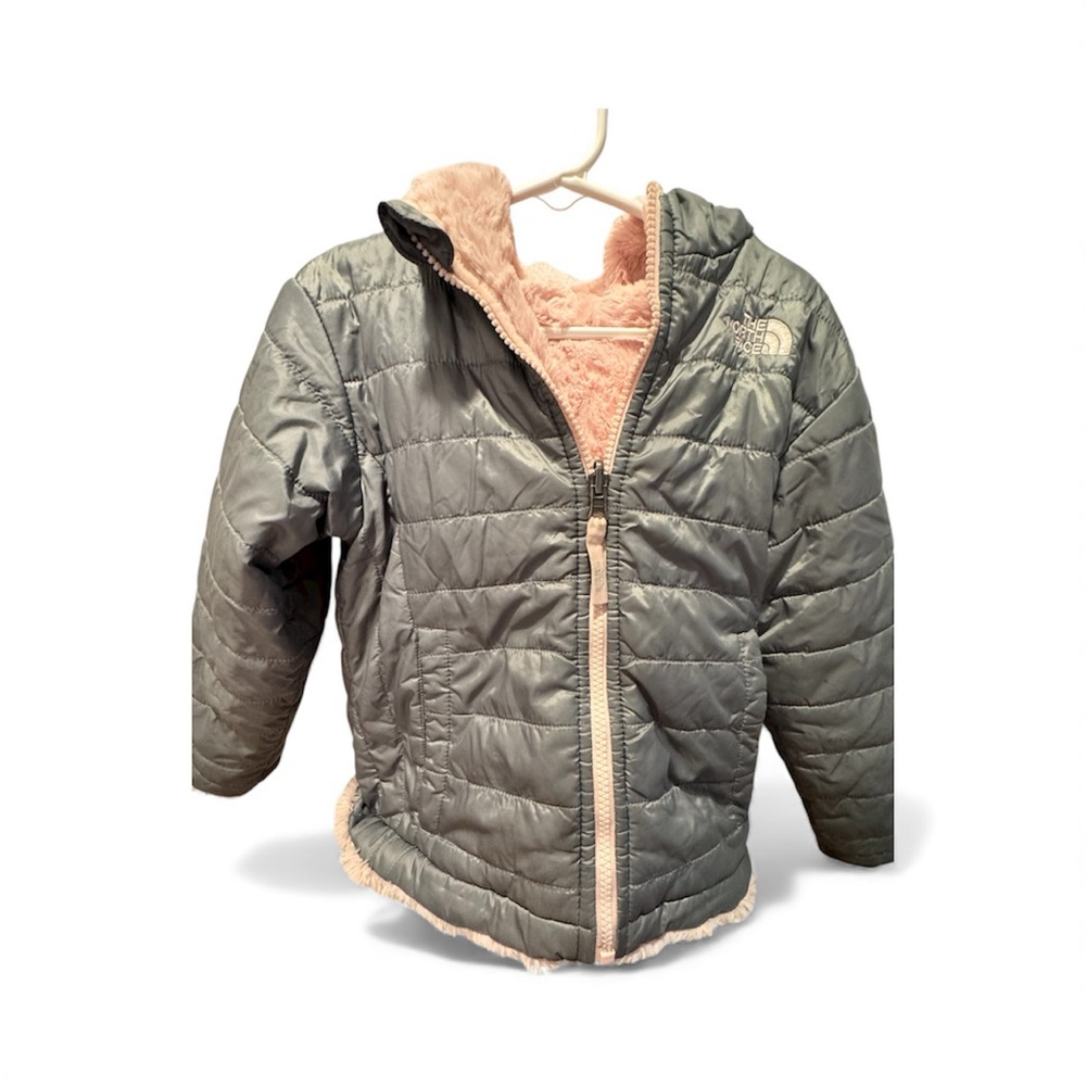 The North Face Kids Metallic Gray Puffer with Soft Pink Interior